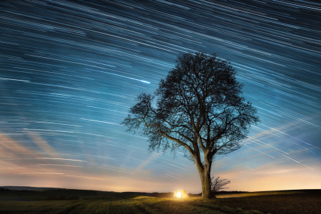 Bild-Nr: 12940166 Einsamer Baum mit Nachthimmel und Sternenspuren Erstellt von: Smileus