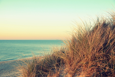 Bild-Nr: 12940295 Am Strand Erstellt von: GUGIGEI