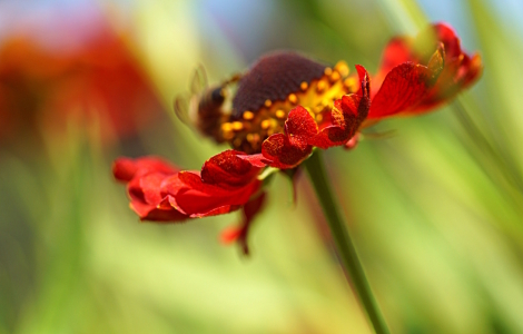 Bild-Nr: 12940658 Summer feelings Erstellt von: youhaveadream