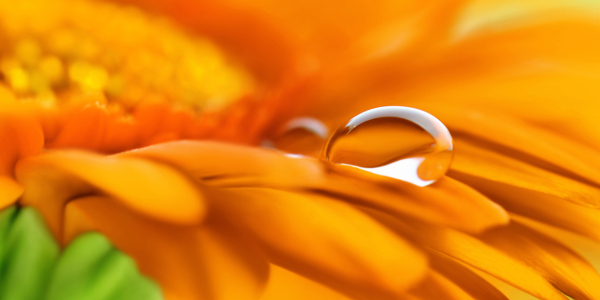 Bild-Nr: 12943510 Tropfen Erstellt von: Atteloi