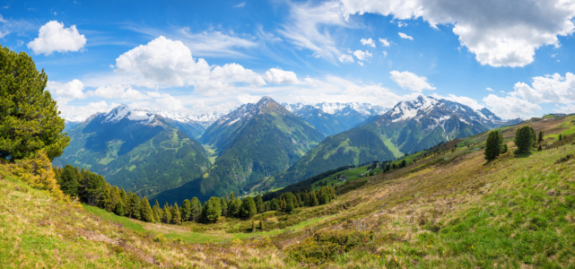 Bild-Nr: 12943757 Alpenpanorama am Penken im Zillertal Erstellt von: SusaZoom