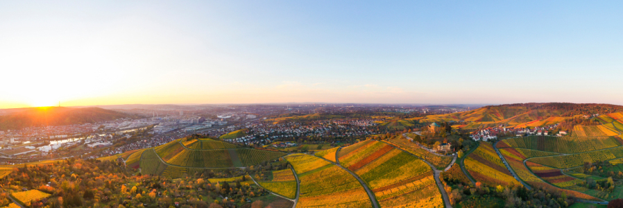 Bild-Nr: 12944894 Panorama Weinberge und Grabkapelle in Stuttgart Erstellt von: dieterich