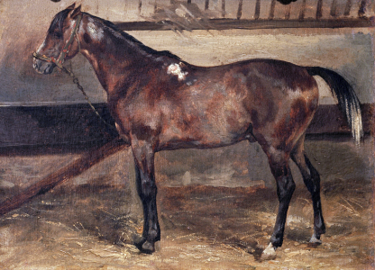 Bild-Nr: 30001662 Géricault / Brown Horse in the Stalls Erstellt von: Géricault, Théodore