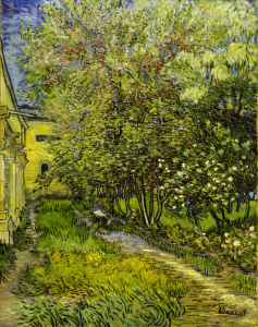 Bild-Nr: 30002912 Van Gogh / St.-Rémy Hospital Garden Erstellt von: van Gogh, Vincent