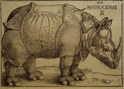 Bild-Nr: 30002992 A.Dürer, Rhinoceros / Woodcut / 1515 Erstellt von: Dürer, Albrecht