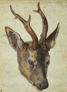 Bild-Nr: 30003046 A.Dürer, Head of a Roebuck / Draw./1514 Erstellt von: Dürer, Albrecht