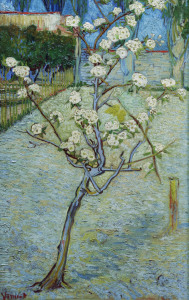 Bild-Nr: 30003234 van Gogh/Blossoming pear tree/April 1888 Erstellt von: van Gogh, Vincent