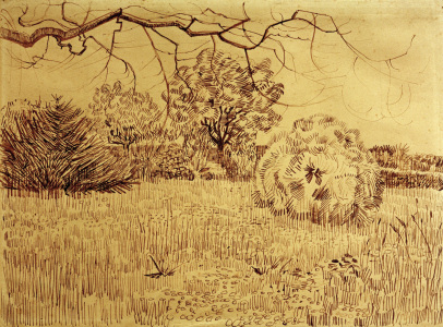 Bild-Nr: 30003236 V.v.Gogh, Field w.Shrub / Drawing / 1888 Erstellt von: van Gogh, Vincent