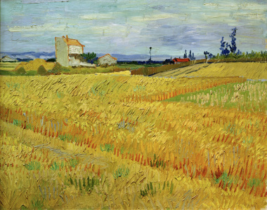 Bild-Nr: 30003240 V.v.Gogh, Wheat Field / Paint./ 1888 Erstellt von: van Gogh, Vincent