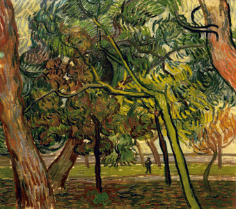 Bild-Nr: 30003268 V.van Gogh, Study of Pine Trees / 1889 Erstellt von: van Gogh, Vincent