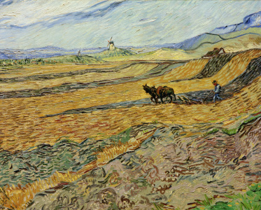 Bild-Nr: 30003276 Vincent van Gogh / Enclosed Field / 1889 Erstellt von: van Gogh, Vincent
