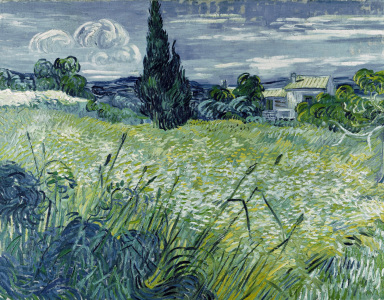Bild-Nr: 30003466 Van Gogh / Wheat-field / 1889 Erstellt von: van Gogh, Vincent