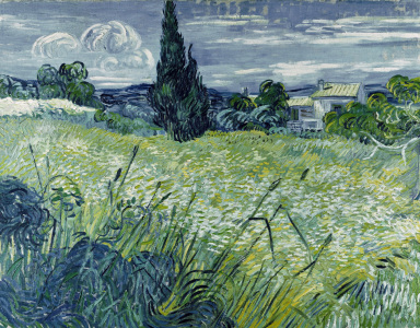 Bild-Nr: 30003466 Van Gogh / Wheat-field / 1889 Erstellt von: van Gogh, Vincent