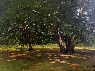 Bild-Nr: 30004094 C.Monet, Wald von Fontainebleau Erstellt von: Monet, Claude