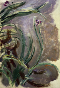 Bild-Nr: 30004164 Monet / Irises / 1924/1925 Erstellt von: Monet, Claude