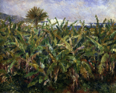 Bild-Nr: 30007038 Renoir / Banana Plantation / 1881 Erstellt von: Renoir, Pierre-Auguste