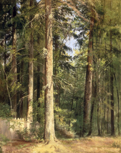 Bild-Nr: 30007959 I.I.Shishkin, Forest, 1892 Erstellt von: Schischkin, Iwan Iwanowitsch