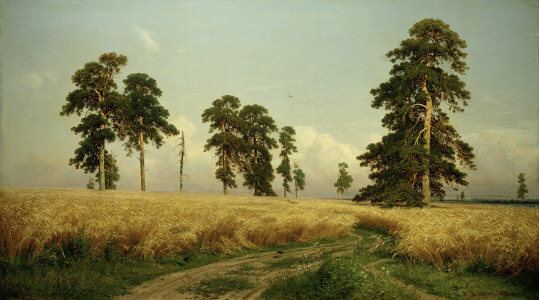 Bild-Nr: 30007961 Shishkin / Rye / Painting Erstellt von: Schischkin, Iwan Iwanowitsch