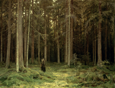 Bild-Nr: 30007967 Shishkin / Countess Mordvinova's Forest Erstellt von: Schischkin, Iwan Iwanowitsch