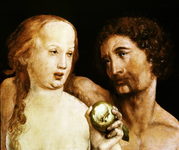 Bild-Nr: 30008241 H.Holbein th.Y., Adam and Eve Erstellt von: Hans Holbein der Jüngere