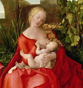 Bild-Nr: 31000368 Virgin and Child 'Madonna with the Iris', 1508 Erstellt von: Dürer, Albrecht