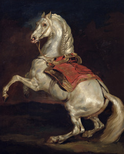 Bild-Nr: 31000500 Napoleon's Stallion, Tamerlan Erstellt von: Géricault, Théodore