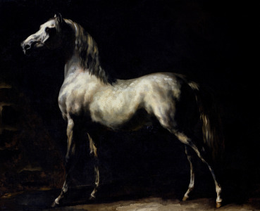 Bild-Nr: 31000505 Study of a Dapple Grey Erstellt von: Géricault, Théodore