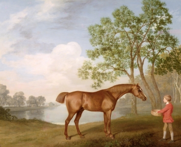 Bild-Nr: 31001439 Pumpkin with a Stable-Lad, 1774 Erstellt von: Stubbs, George