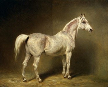 Bild-Nr: 31001529 'Beatrice', the white arab saddlehorse of Helmuth Graf von Moltke, 1855 Erstellt von: Steffeck, Carl Constantin