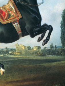 Bild-Nr: 31001722 A black horse performing the Courbette Erstellt von: Hamilton, Johann Georg