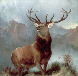 Bild-Nr: 31002148 Monarch of the Glen, 1851 Erstellt von: Landseer, Sir Edwin