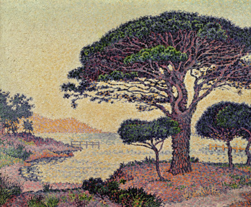 Bild-Nr: 31002539 Umbrella Pines at Caroubiers, 1898 Erstellt von: Signac, Paul