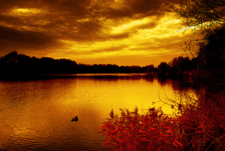 Bild-Nr: 10002929 Sonnenuntergang Erstellt von: Atteloi