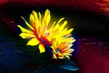 Bild-Nr: 10014547 Flower Power Erstellt von: DagmarMarina