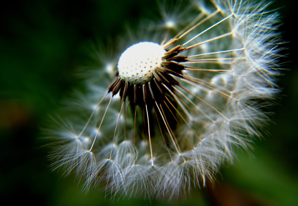 Bild-Nr: 10070263 Karussell Erstellt von: youhaveadream