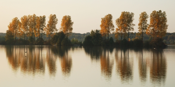 Bild-Nr: 10245909 Herbst am See Erstellt von: Bettina Schnittert