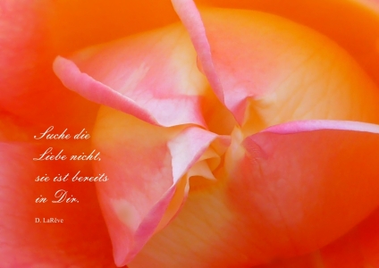 Bild-Nr: 10381113 Lost and found Erstellt von: youhaveadream