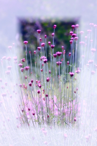 Bild-Nr: 10385931 Fensterausblick Erstellt von: Renate Knapp