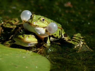 Bild-Nr: 10412085 See you Erstellt von: youhaveadream