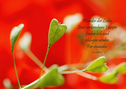 Bild-Nr: 10546581 Hearts Erstellt von: youhaveadream