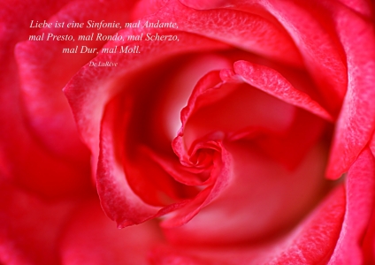 Bild-Nr: 10547789 L´amour Erstellt von: youhaveadream