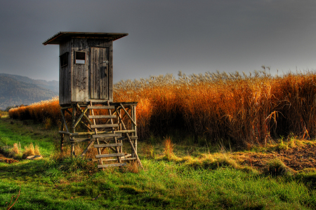 Bild-Nr: 10689323 Herbstlicher Ansitz Erstellt von: Ingo Laue