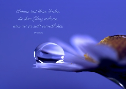 Bild-Nr: 10696319 Dreams Erstellt von: youhaveadream