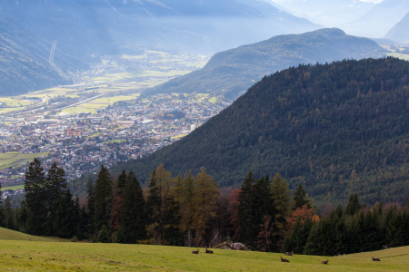 Bild-Nr: 10714901 Herbst im Gebirge Erstellt von: wompus