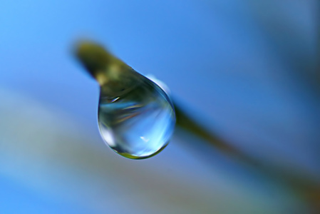 Bild-Nr: 10793591 Microworld Erstellt von: youhaveadream