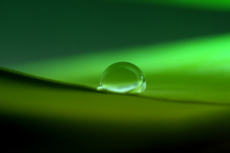 Bild-Nr: 10810099 Simply green Erstellt von: youhaveadream