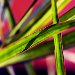 Bild-Nr: 10824399 Colorline Erstellt von: r3novatio