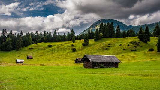 Bild-Nr: 10830669 Buckel-Alm Erstellt von: Erhard Hess