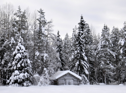 Bild-Nr: 10854881 Hütte im Schnee Erstellt von: GUGIGEI