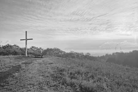 Bild-Nr: 11053667 Fluch und Segen Erstellt von: FotoRaBe